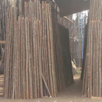 casurina-poles-dealers-chennai-coimbatore-bangalore-hydrabad